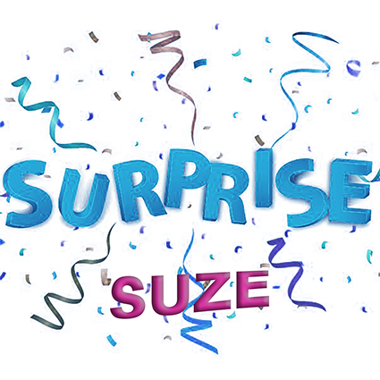 Stoff Überraschungspaket "Suze" 8x 30-100cm plus 1x Überraschung